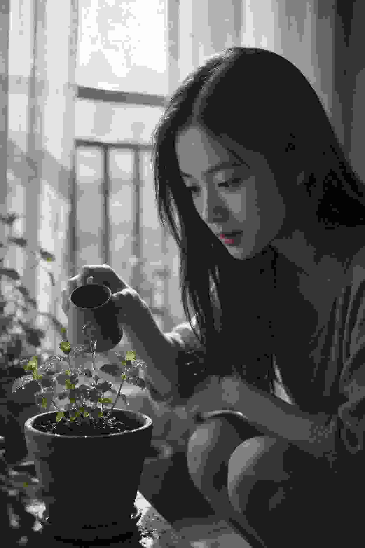 钻石契约